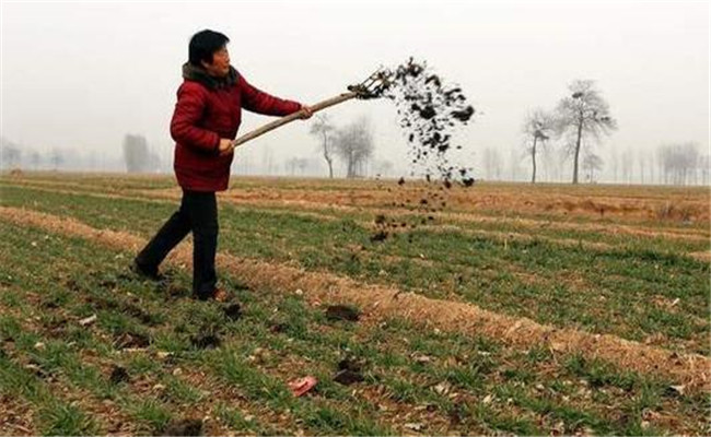 農(nóng)家肥和有機肥的區(qū)別