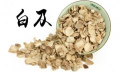 白及的產(chǎn)地是哪里？白及的用法、用量與禁忌