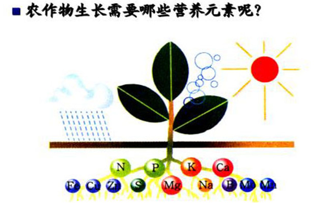 農(nóng)作物生長(zhǎng)的必須營(yíng)養(yǎng)元素有哪些