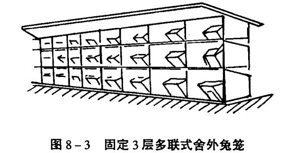 兔養(yǎng)殖技術(shù)