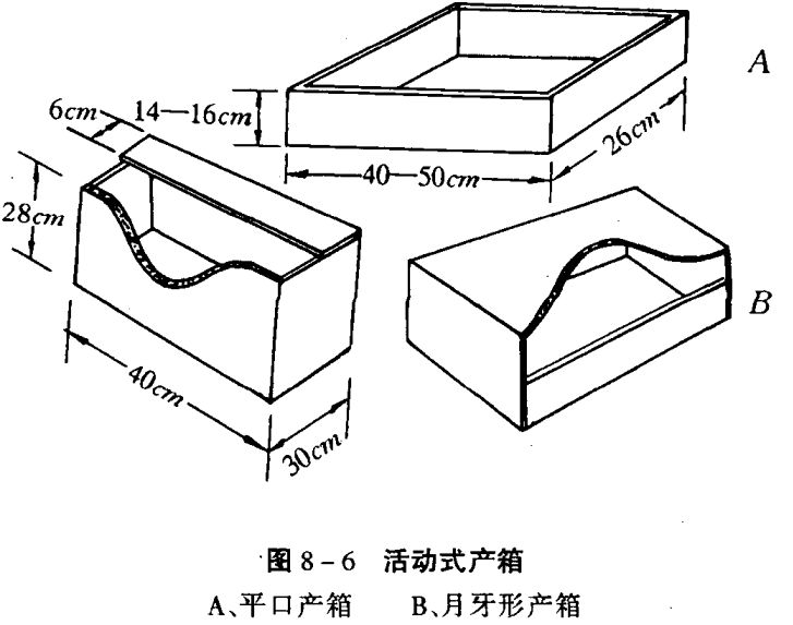 如何養(yǎng)兔