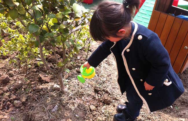 植樹(shù)節(jié)是幾月幾日