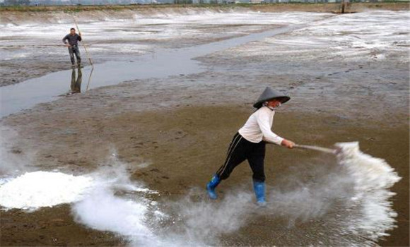 魚(yú)苗下塘前應(yīng)做哪些準(zhǔn)備