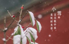 小雪節(jié)氣是什么意思，小雪節(jié)氣吃什么食品？