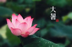 大暑是幾月幾日，大暑的節(jié)日民俗的哪些？