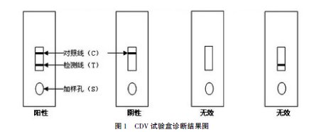 養(yǎng)犬技術(shù)