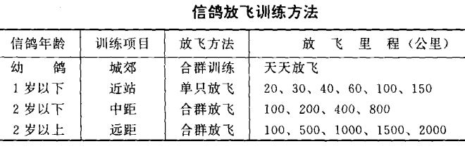 信鴿的飼養(yǎng)與訓(xùn)練