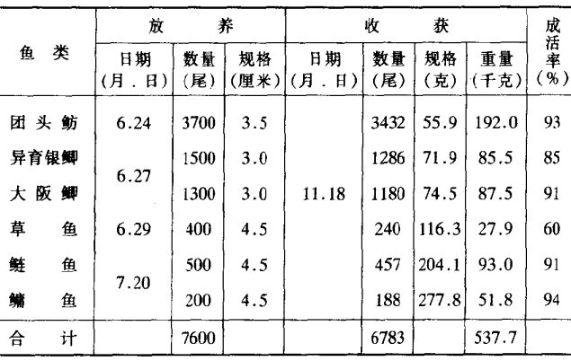 團頭魴飼養(yǎng)方法