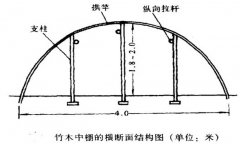 塑料中棚加外覆蓋能明顯使蔬菜早熟，效益高