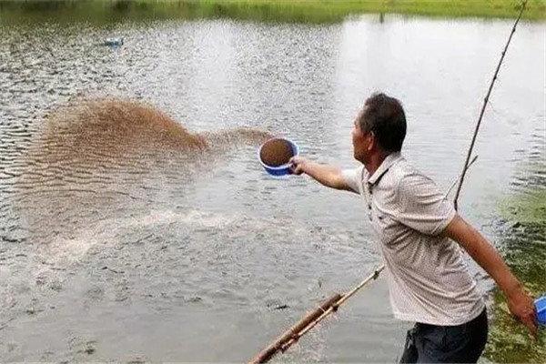 怎樣給魚體消毒