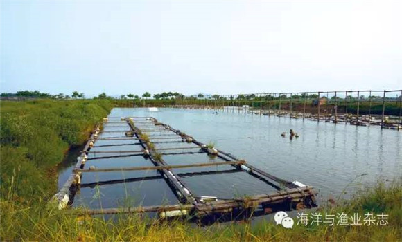 魚(yú)池老水的特征