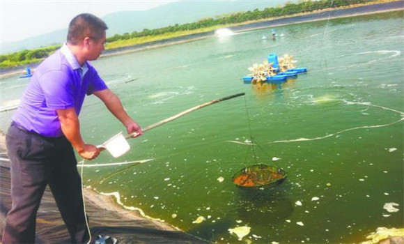 魚(yú)池老水的調(diào)節(jié)方法