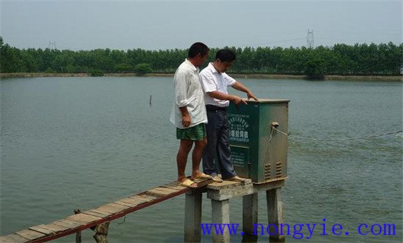 科學(xué)投餌飼喂