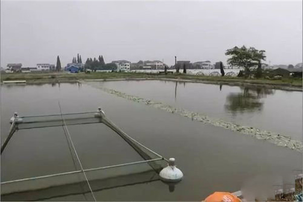 注意池底ph值和池上層水ph值差