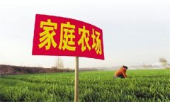 家庭農(nóng)場要通過實(shí)現(xiàn)專業(yè)化生產(chǎn)提高生產(chǎn)效率