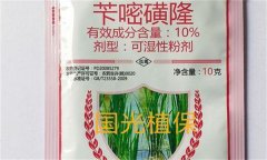 芐嘧磺隆的作用機(jī)制、使用方法與注意事項(xiàng)