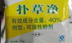 撲草凈主要?dú)⑹裁床?撲草凈使用方法與注意事項