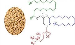 大豆異黃酮對(duì)人體有什么好處 什么食物含量多？