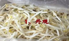 如何挑選豆芽？有根豆芽與無根豆芽有什么區(qū)別