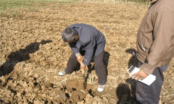 辣椒為什么要進(jìn)行測土配方施肥